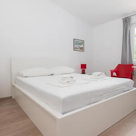 Bulbuli * Makarska