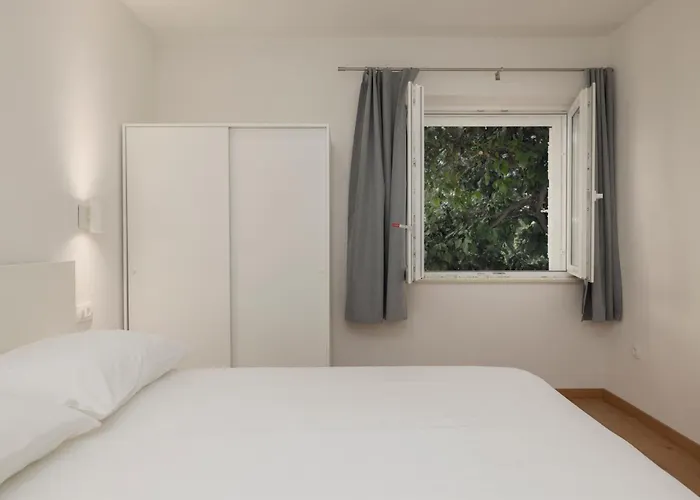 Bulbuli 招待所 马卡尔斯卡