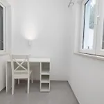 Bulbuli 3* マカルスカ