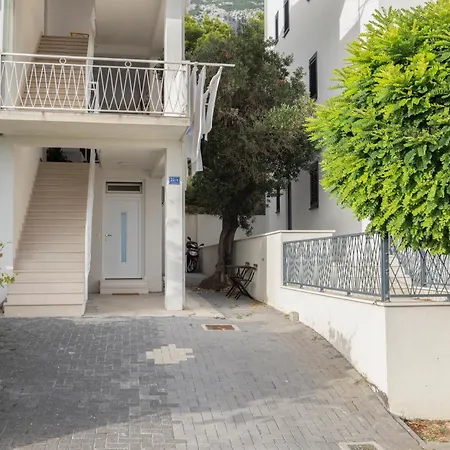 Bulbuli Макарська